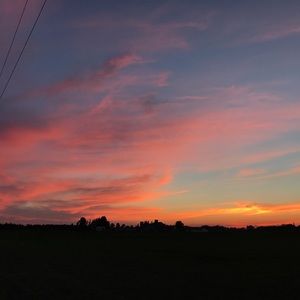 Meet your Posher, Layne